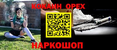гашик Тверь