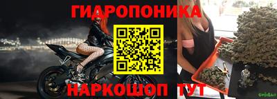 гашик Тверь