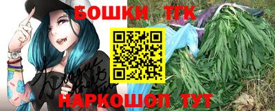 гашик Тверь