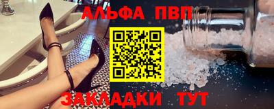 гашик Тверь
