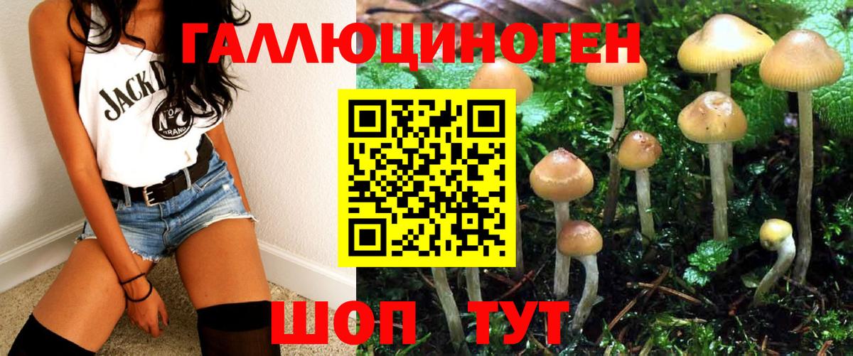 Галлюциногенные грибы GOLDEN TEACHER Майкоп