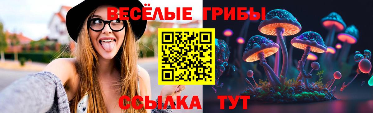 где купить наркоту  Вход с VPN  Псилоцибиновые грибы Magic Shrooms  Майкоп  Псилоцибиновые грибы ЛСД 