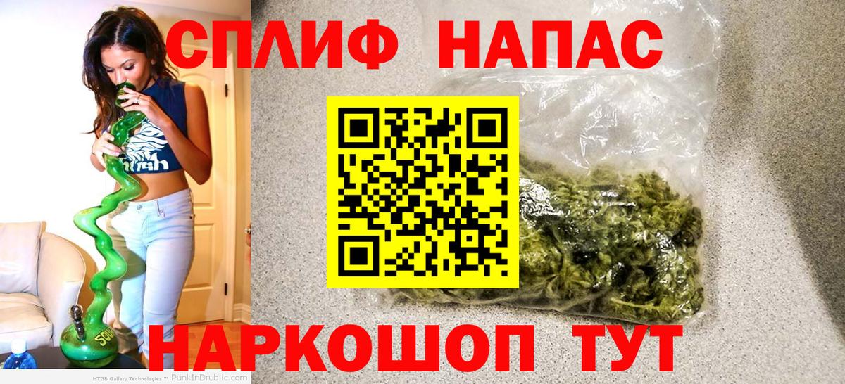 Бошки Шишки план Майкоп